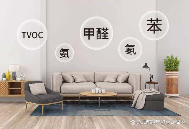 专业除甲醛服务